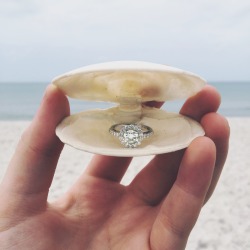 bowtifullife:  northshore-prep:  taythelittlemermaid:  • January 12, 2015 •  Proposal Story: Today was our last day in Naples, FL so we made it a definite plan to go to the beach. Whenever Tim and I go to the beach we always pick out shells and have