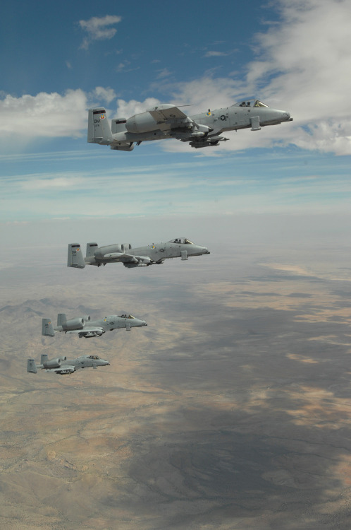Warthogs do fly porn pictures