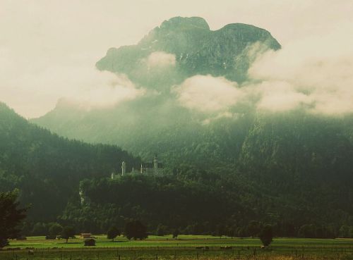 jacindaelena: Dave Shafer || Neuschwanstein Castle