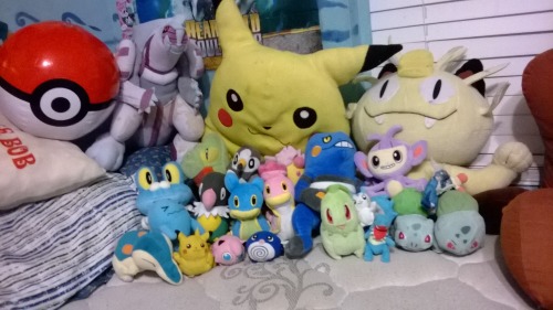 i heard we were showing off our pokeplush collections