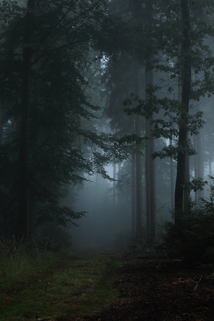 brutalgeneration:  Into the unknown… (by seeker0204) 