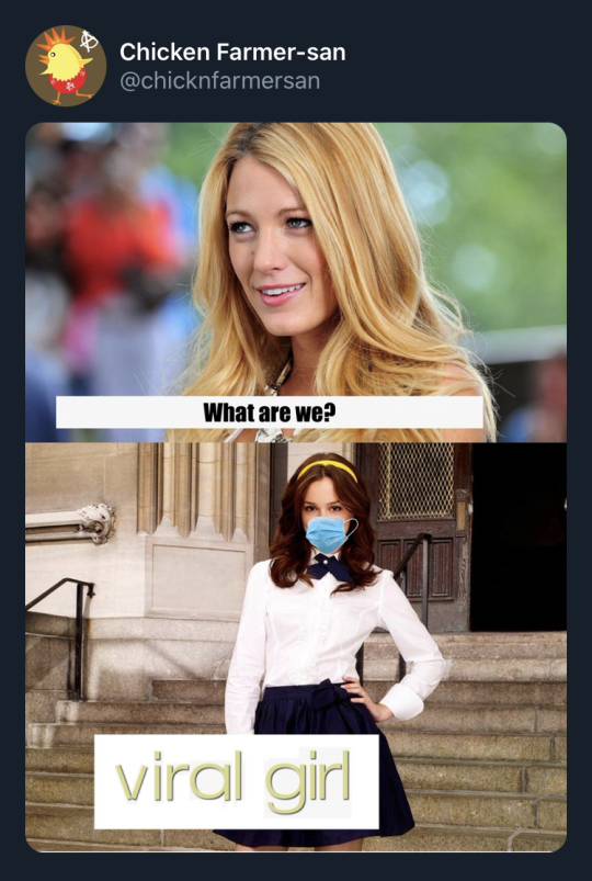 Gossip Girl Meme Explore Tumblr Posts And Blogs Tumgir