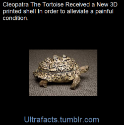 ultrafacts:    It’s truly incredible what