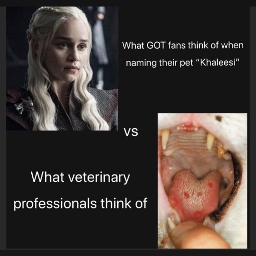 #vetgirl #vetgirlontherun #veterinarian #vet #vetmed #veterinarian #vettech #vetstudent #vetnurse #v