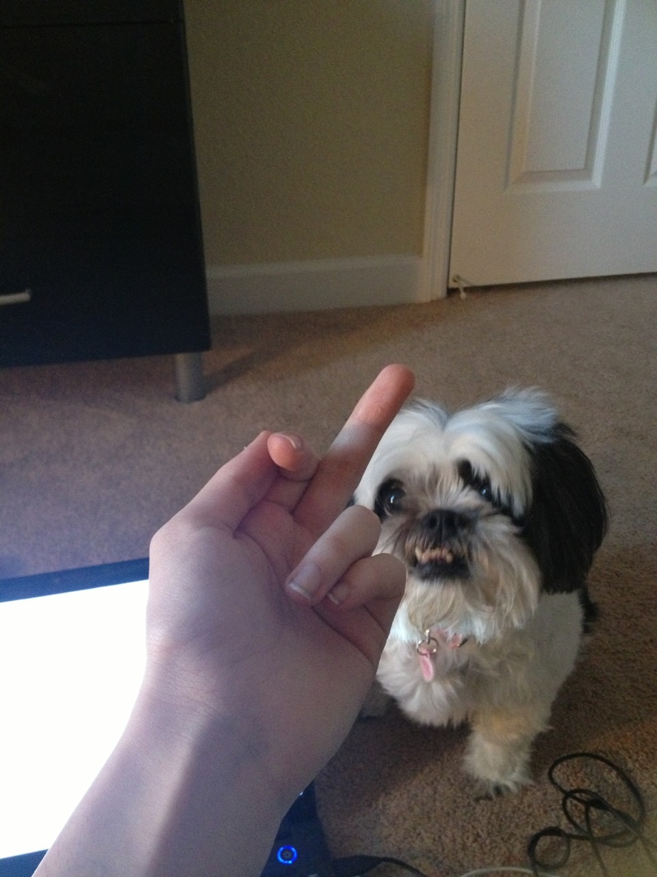 aunteeblazer:  april fools u get nothing  