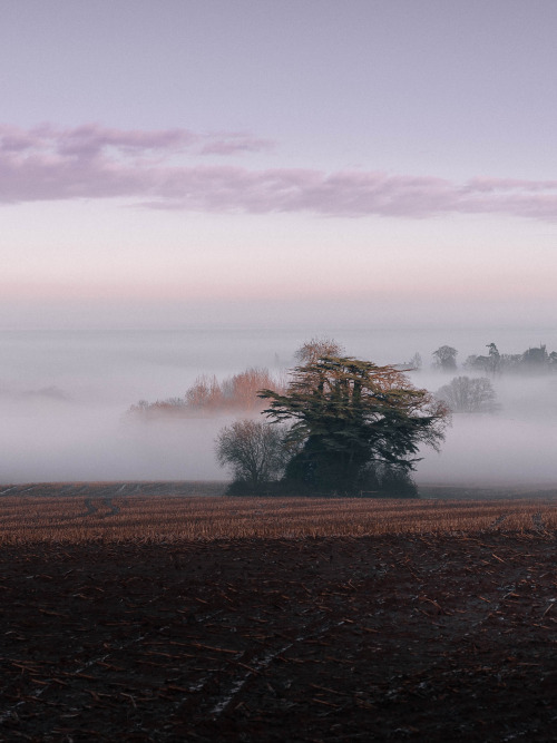 ardley: Valley fog above Enmore Castle, Somerset 2021Limited Edition prints from £75 - Visit Print S