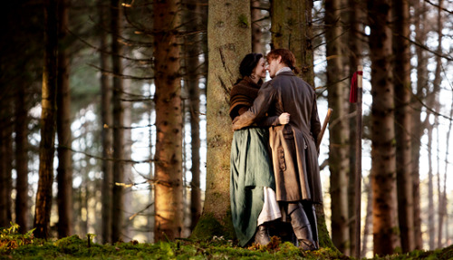 Having been led by providence to Fraser&rsquo;s Ridge, Jamie, Claire and Young Ian begin to buil