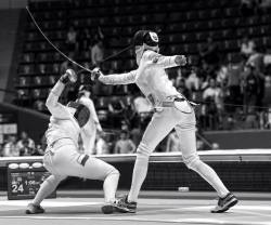 Fencing