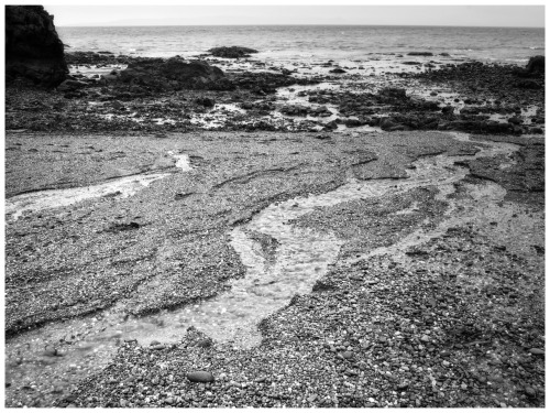 stevenelawson: Beach textures. Dunure, Ayrshire. Love the channels developing in the sand​