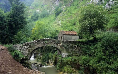 odditiesoflife: A House In the Woods &ldquo;I went to the woods because I wished to live deliber