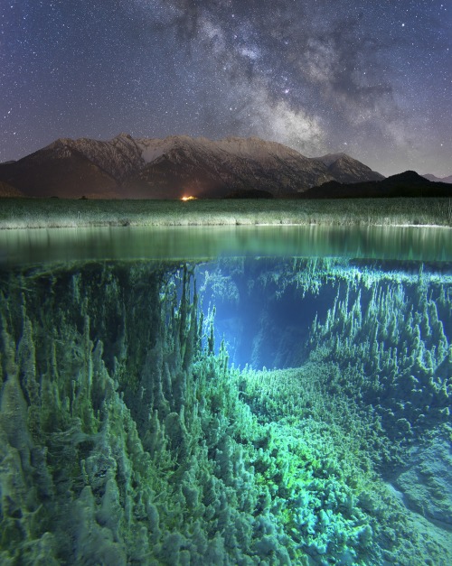 wonders-of-the-cosmos:Half underwater, half above water. (Isar river and milky way) Image credit: Jo