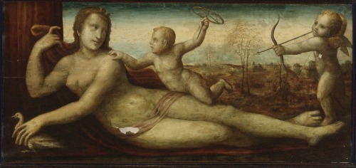hildegardavon:Bartolomeo Neroni (called il Riccio), active in Siena 1532-1571Reclining Venus with tw