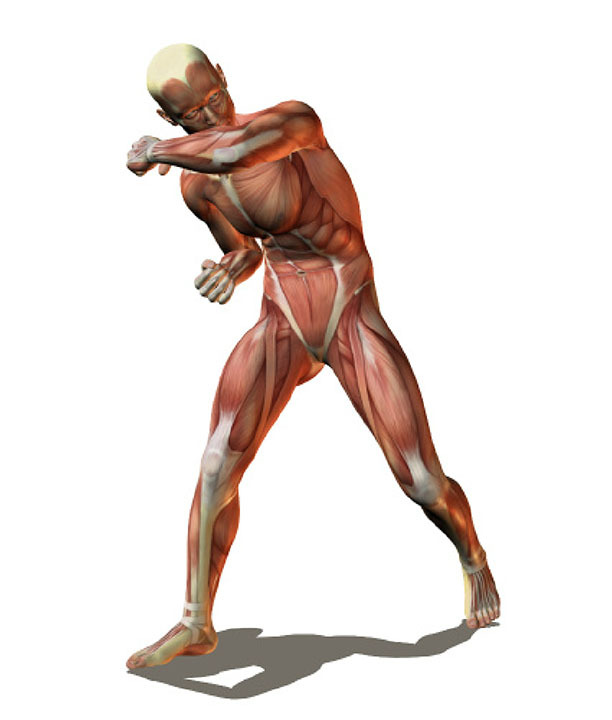 Page S Page Synstudio Life Drawing Reference Links While Page S Page Synstudio Life Drawing Reference Links While