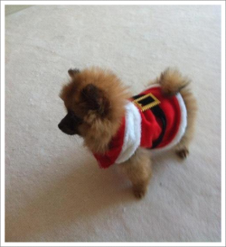 scorpionest:  Merry Christmas from Hatchi!