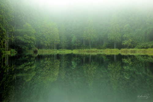 [ Misty morning ] 53mm, f/14, ISO 100, 1sec Taken at Nara, Japan.. 奈良県 龍王ヶ渕にて。