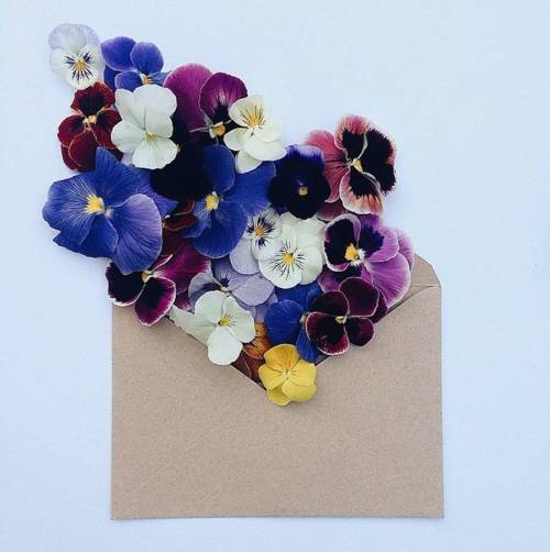 culturenlifestyle:  Flower Bouquets in Vintage EnvelopesKiev-based artist Anna Remarchuk showcases stunning images of her flower bouquets inserted in envelopes on her Instagram account. Remarchuk delicately styles lush flowers into vintage envelopes,