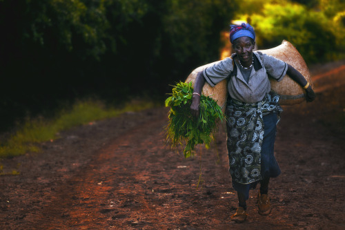 Hard day’s work Karatu, Tanzania