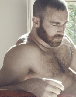 mydaddyishairy:  My Daddy is Hairy: Archive 