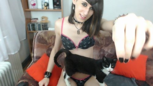 XXX  We got rid of Kitty :o He didnt gave much photo