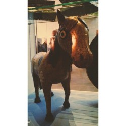 lowesews:  #neighlad 🐴 (at Museum Of Liverpool)