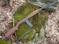 tacticalnorwegian:  7.62x33mm/.30 Carbine M1 Carbine with a 30 round magazine and bayonet.