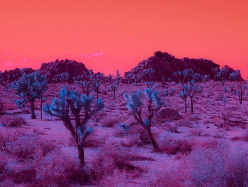 landscape-photo-graphy: Surreal Infrared Landscapes by Kate Ballis Keep reading 