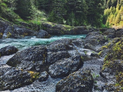 justapplyyourself:Clackamas River. Estacada, Oregon.