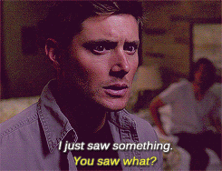 spn-rants:  garrisonbabe:  camuizuuki:  doomsdayy: I just saw something…  LOOK AT THAT SECOND TO LAST GIF LOOK AT IT LOOK AND TELL ME DEAN DOESN’T CARE ABOUT CAS LOOK AT IT AND TELL ME HE’S INDIFFERENT LOOK AT IT AND HAVE THE AUDACITY TO SAY CAS