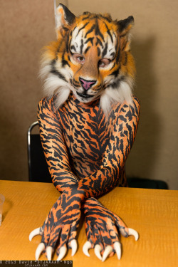 minataku1:  gloveglove:  Tiger  What a cute