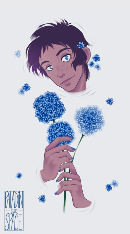 paladinbluespace:❀ Hydrangea ❀symbolizes heartfelt emotions. It can be used to express gratitude for