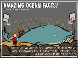 tastefullyoffensive:  Amazing Ocean Facts by Dr. Byron Beekle [natgeo]Previously: Animated Animals Facts 