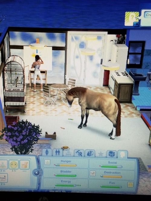 Horse somehow got into my house. It could not find a way out once it was awake. Fml what the hell, horse!?