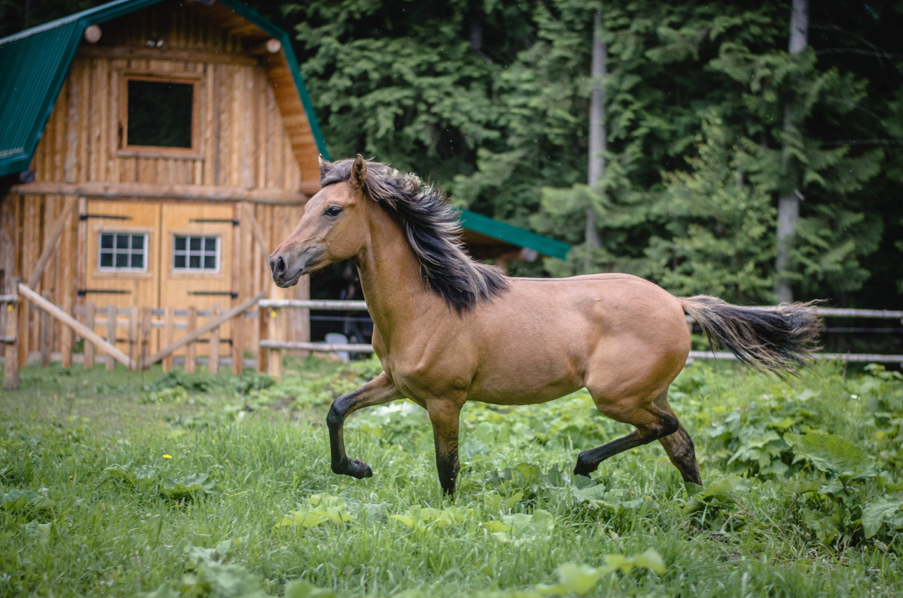 instinct-photography:  My baby is starting to look grown up! Gitana at 11 months,
