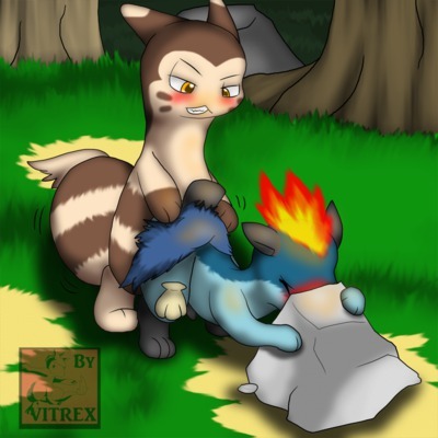 Porn photo lucariofan97:  Furret by request 