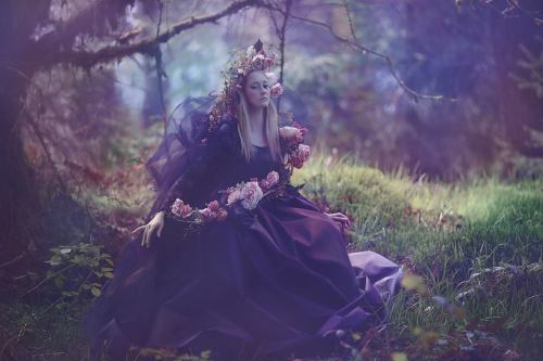 poisoned-apple:  - “Golden age” // © A.M.Lorek Photography - 