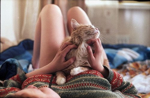 fotosfornovelas:  -Chicas con Gatos-Gatos