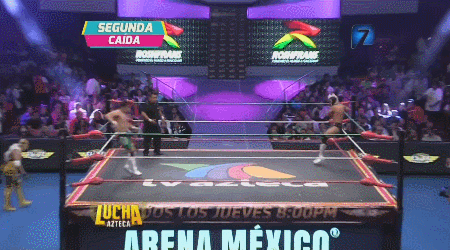 awesomebutternuggets:  Lucha Libre Elite - Lucha Azteca - July 28 2016Rocky Lobo & Ronnie Mendoza vsLa Dinastia Casas (Puma & Tiger) 