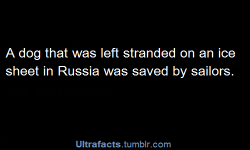 ultrafacts:     Source For more facts, make