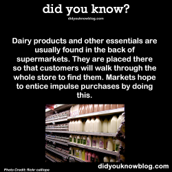 did-you-kno:  Dairy products and other essentials