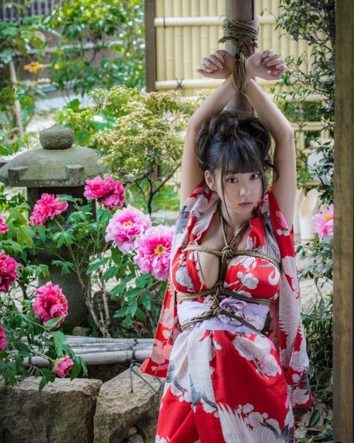justscreenshots: Shibari &amp; Photo Hajime KinokoModel Hikaru Aoyama