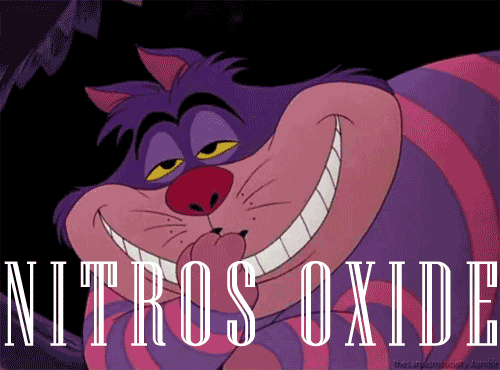 freesoul-openmind:  Alice in Wonderland + Drugs 
