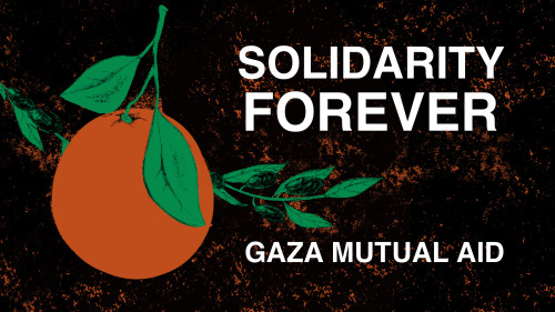 a banner that says in all caps, "solidarity forever, Gaza mutual aid," with a drawing of a Jaffa orange and an olive branch. It's drawn in poster art style, in similar colors to the Palestinian flag.