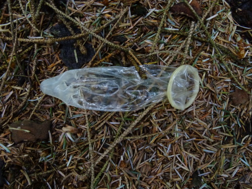 throwncondom:  Autoroute Liège-Namur, parking près de fernelmont, bois de sapin ½, avril 2015.  Le parking est très grand et il y a trois places de baise pour les mecs… En face des wc publics, un trou dans le grillage donne accès à un petit bois