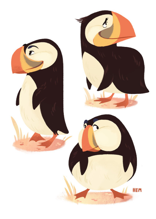 I think Puffins are underrated. They are like penguins, but with naturally cartoonish expressions, i