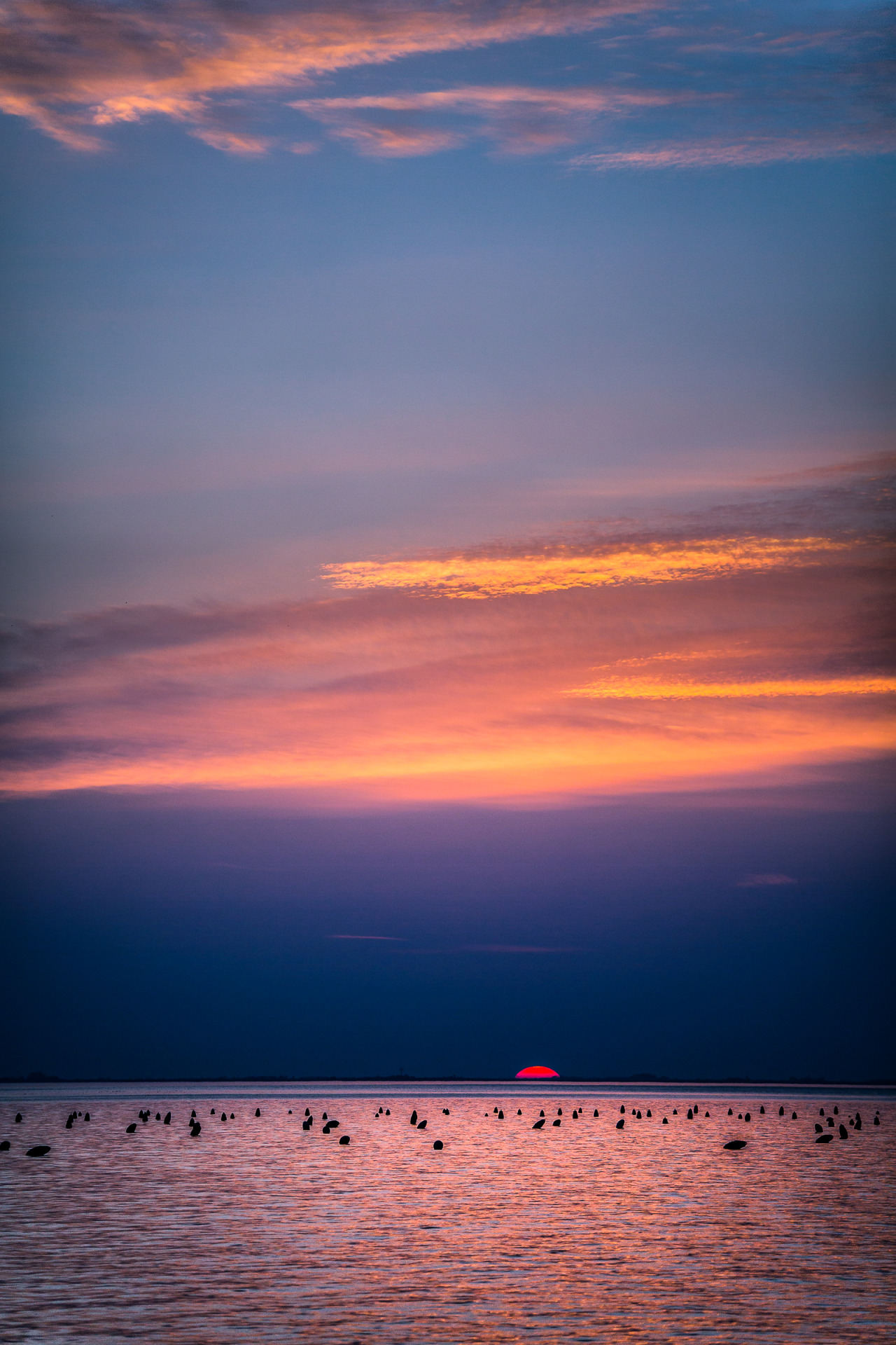 sitxlys: (by Roberto Taddeo) 