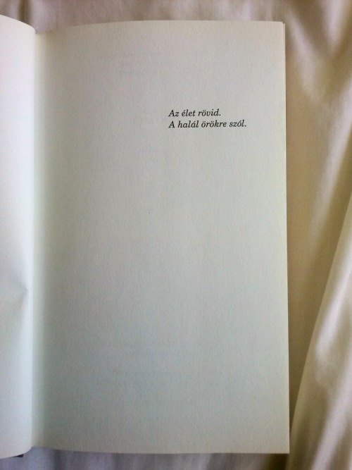 You don't know how lovely you are