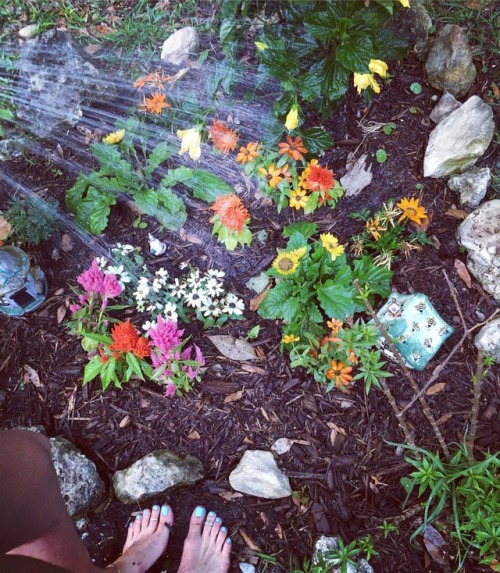 golde3rose: My flowers aren’t the only wet things in this pic Follow me on instagram @walkingw