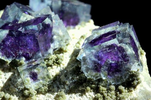 underthescopemin:  Purple Phantom Fluorite  