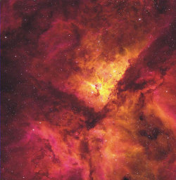 distant-traveller:  NGC 3372: The Great Nebula in Carina  In one of the brightest parts of the Milky Way lies a nebula where some of the oddest things occur. NGC 3372, known as the Great Nebula in Carina, is home to massive stars and changing nebula. Eta