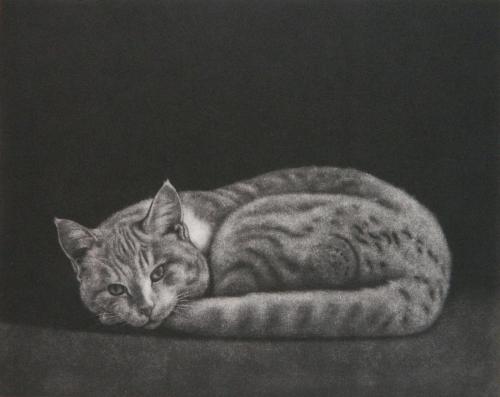 huariqueje: Cat   -   Tatsuo  Kawaguchi Japanese,b. 1940- Mazzotint,  